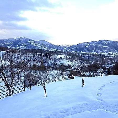 A Frame - Valea Vinului * Viseu de Mijloc